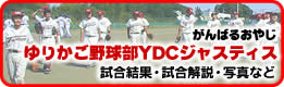 ��肩���싅��YDC�W���X�e�B�X